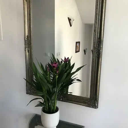 Habitación en casa particular California