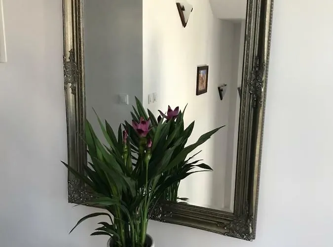 Ubytování v soukromí California